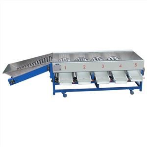 Máquina clasificadora de limón de manzana