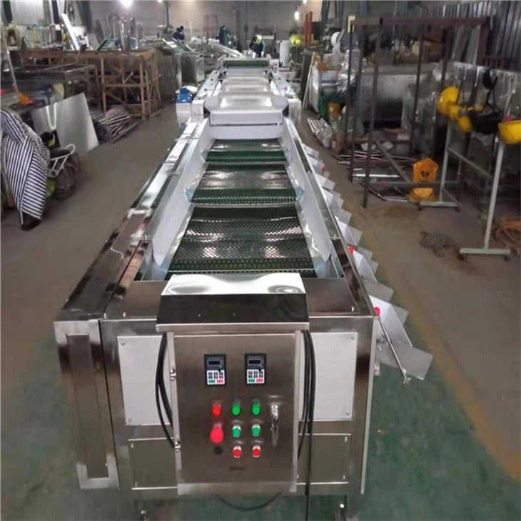 Automatic Blueberry Sorting Machine