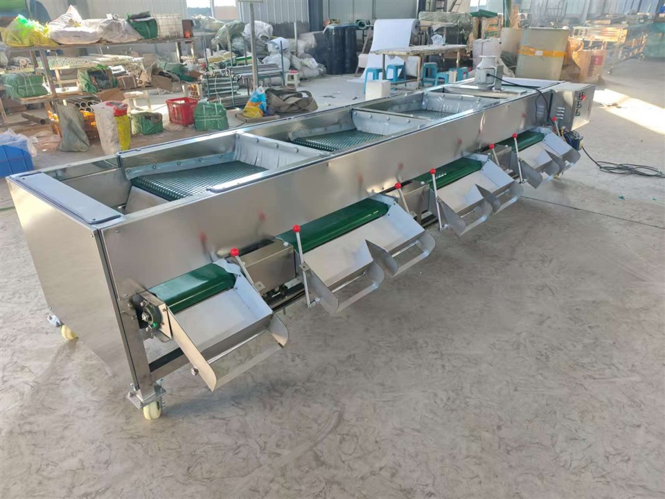 Blueberry Sorting And Selecting Machine best