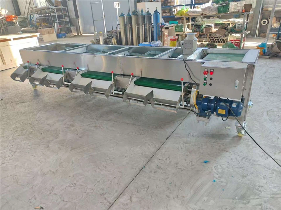 Blueberry Sorting And Selecting Machine factory