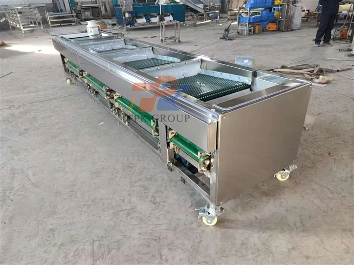 Fruit Sorting Machine Blueberry Grader suppliers