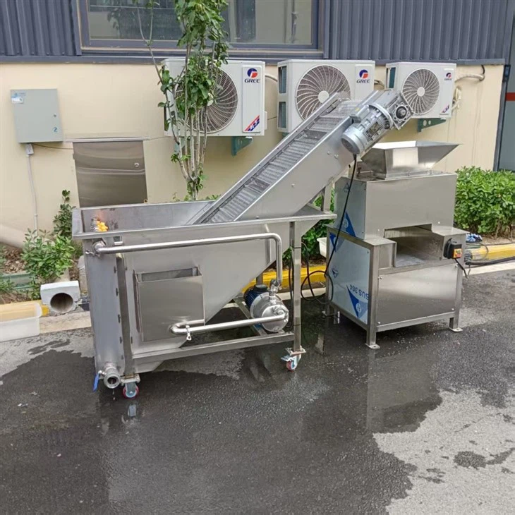 Industrial Citrus Juicer factory