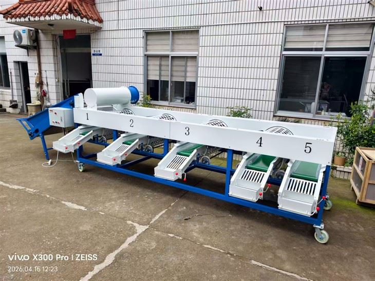 Industrial Garlic Sorting Machine factory