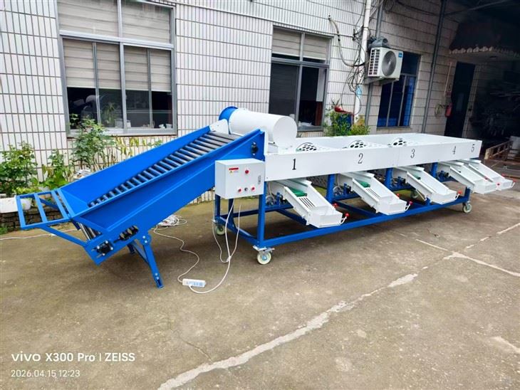Industrial Garlic Sorting Machine best