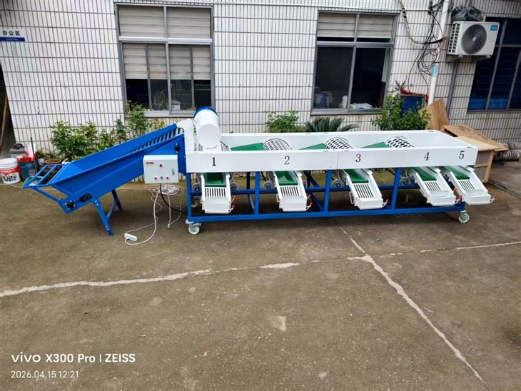 Industrial Garlic Sorting Machine suppliers