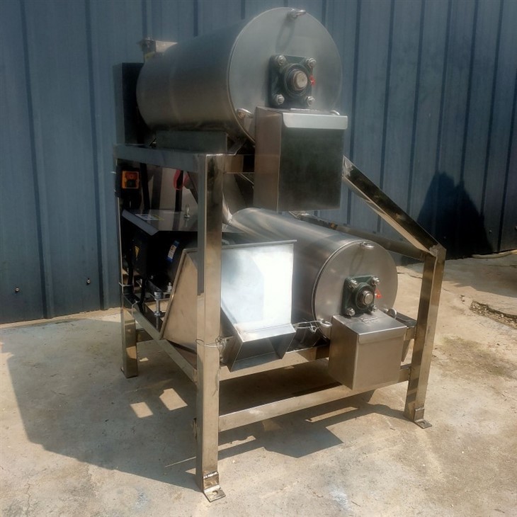 Mango Pulper Machine