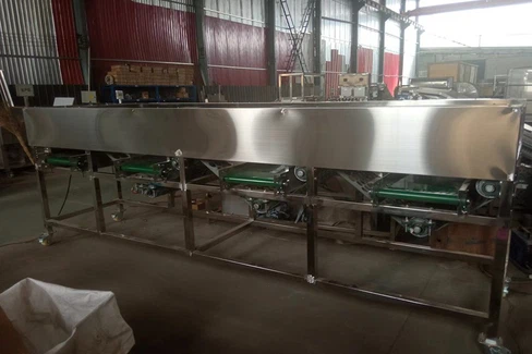 garlic sorter 9 garlic sorter 9