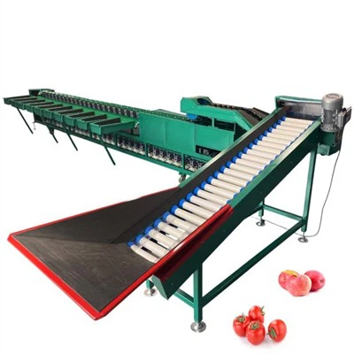 Clasificadora de tomates Apple de 10 grados