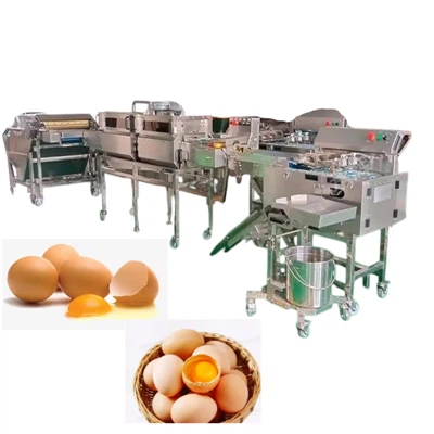 Línea de producción de separación de huevos