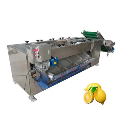 Clasificadora de zanahorias de tamaño de rodillo